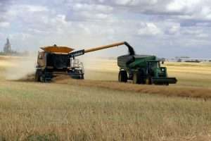 terreno agricolo